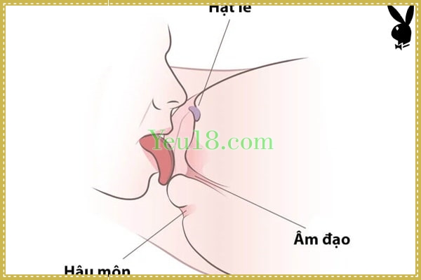 Hôn lên các điểm nhảy cảm