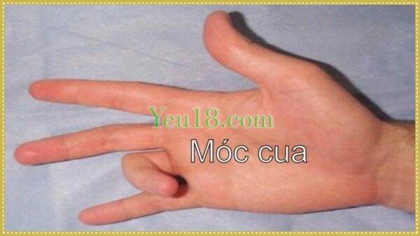 Móc cua