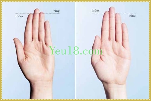 Chiều dài ngón tay ảnh hưởng tới vẻ hấp dẫn của khuôn mặt