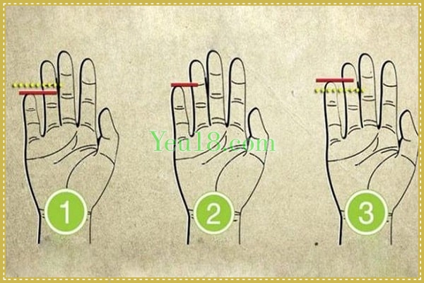 Chiều dài ngón tay