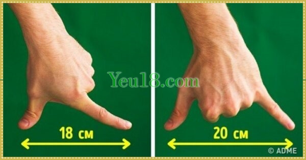 Độ dài ngón tay liên quan tới kích thước dương vật