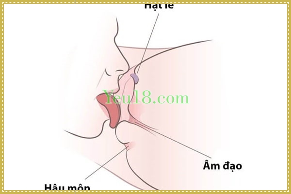 Miệng là công cụ giúp kích thích mồng đốc khiến nàng ngất ngây