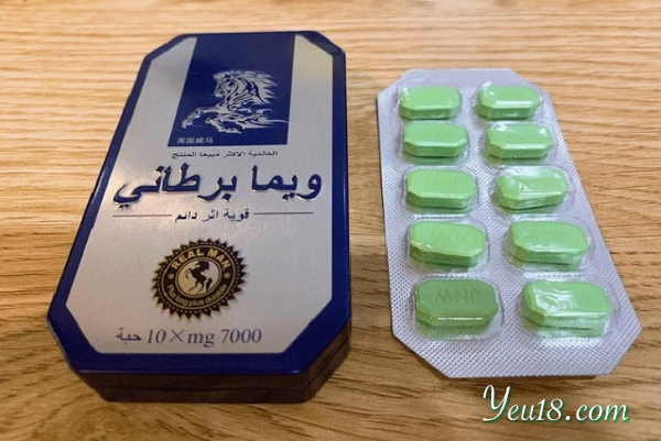 Ngựa thái là gì ?