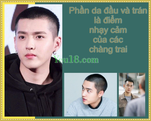 Phần da đầu – Trán